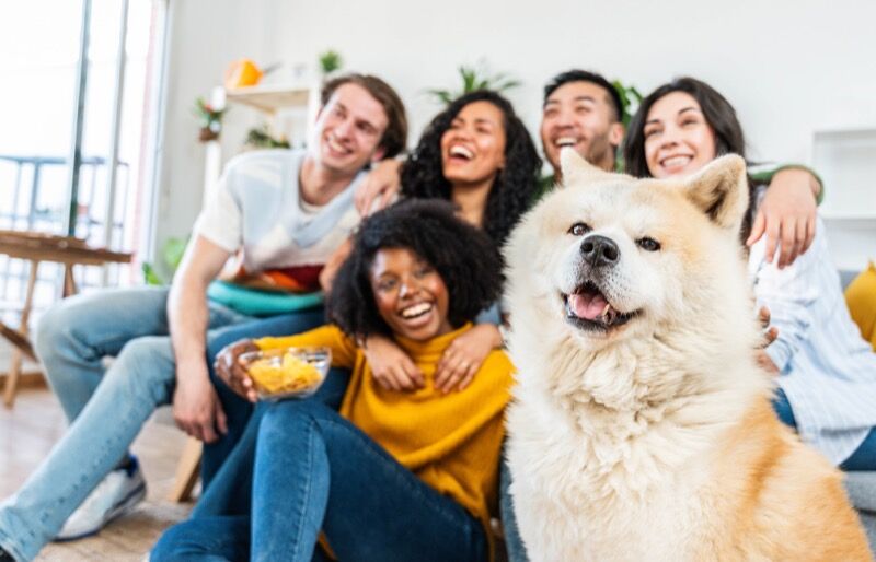 CertaPet team members smiling with a happy dog